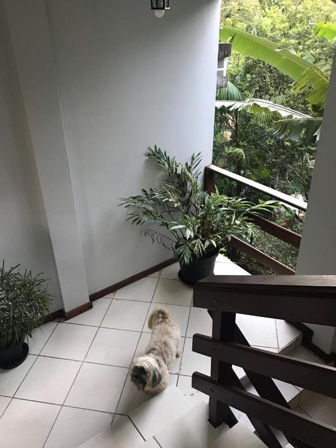 Pousada Sereia Dourada Bed and breakfast *